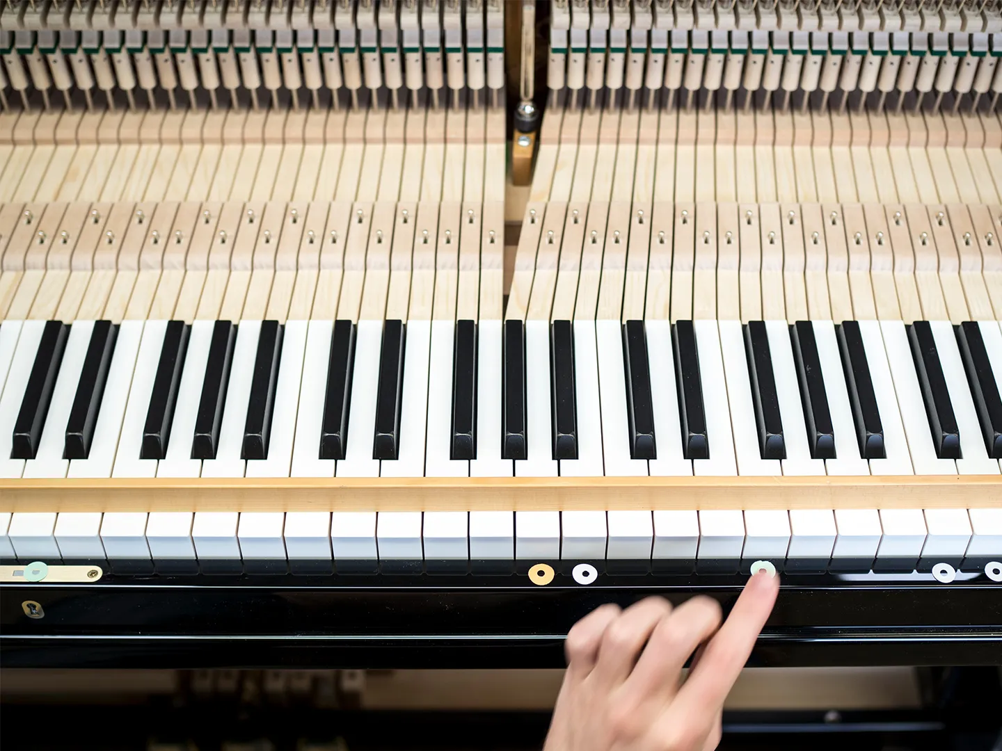 Das Beste f&uuml;r Ihr SAUTER Piano
