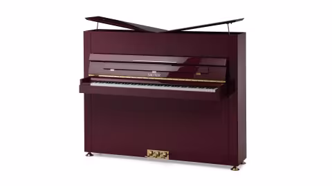 Pure Basic in weinroter Lackoptik